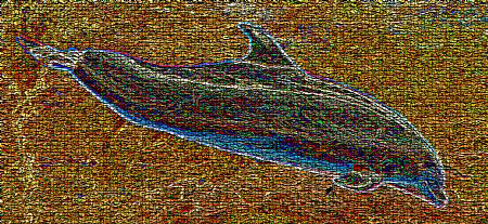 Mosaic of a dolphin. cropped and photoshoped- by Andy Kutsch 